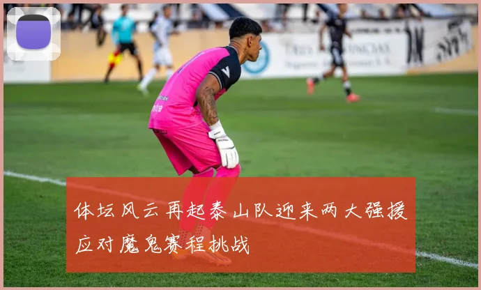 体坛风云再起泰山队迎来两大强援应对魔鬼赛程挑战
