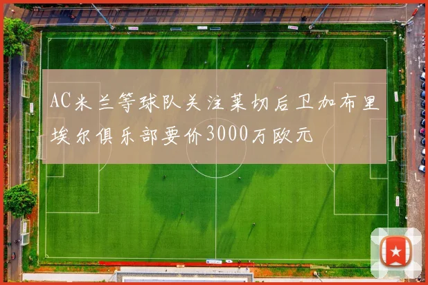 AC米兰等球队关注莱切后卫加布里埃尔俱乐部要价3000万欧元
