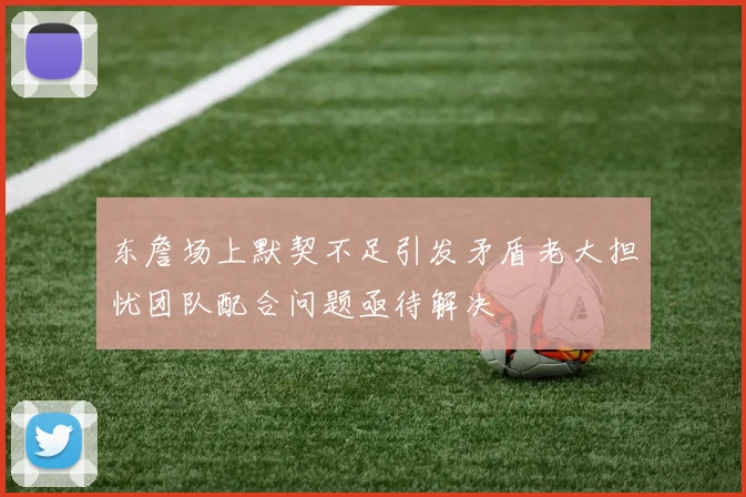 东詹场上默契不足引发矛盾老大担忧团队配合问题亟待解决